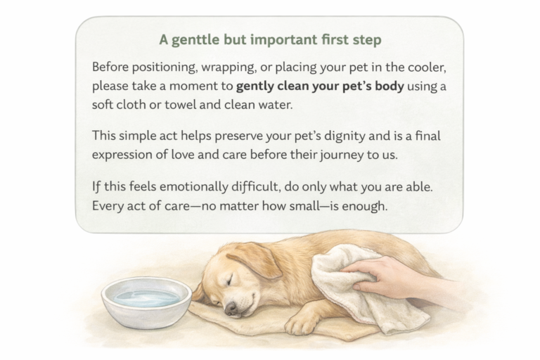 Please clean your pet