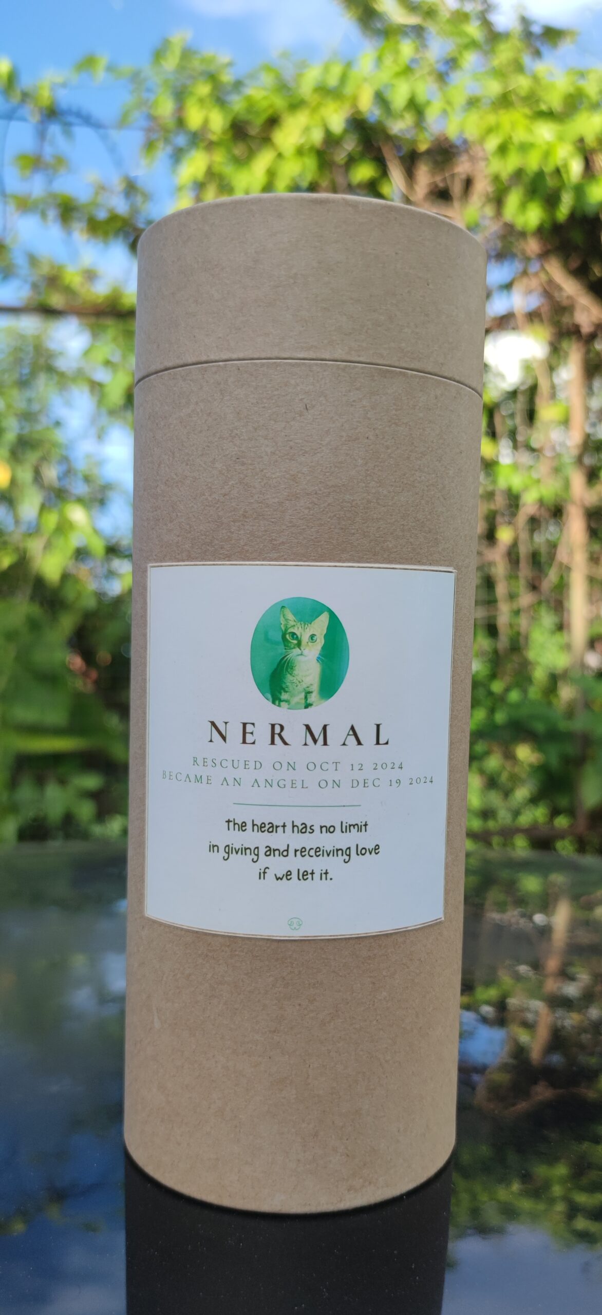 A biodegradable scatter urn with a personalised label