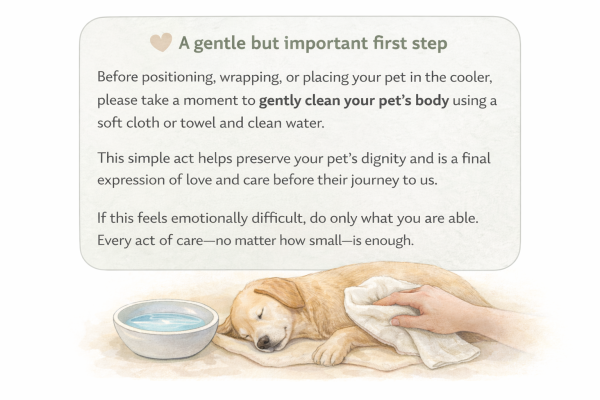 Please clean your pet